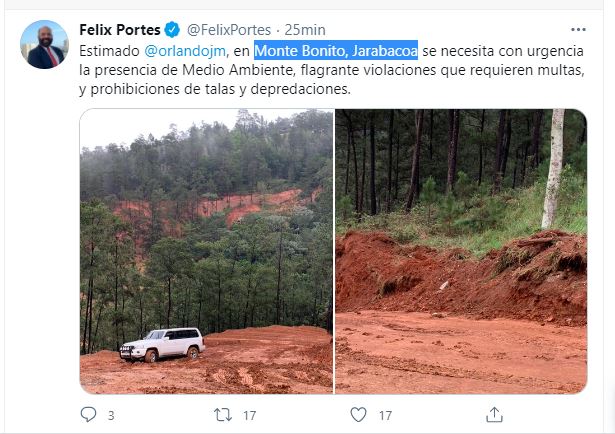 1612049706 999 Felix Portes denuncia tala de arboles en Monte Bonito Jarabacoa