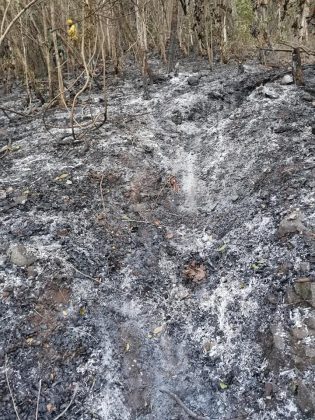 1614550508 656 Bomberos forestales sofocan dos incendios en bosques de Dajabon