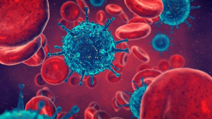 Las variantes del coronavirus pudieron evadir muchos anticuerpos, pero alrededor del 30% se adhirió a las nuevas partículas del virus(Shutterstock)