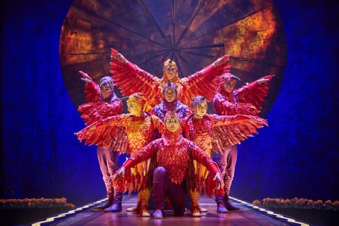Cirque du Soleil confirma estreno de funciones en Punta Cana el 25 de noviembre
