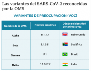 Covid 19 los graficos que muestran todas las variantes de SARS CoV 2