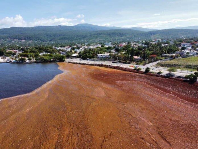 Medio Ambiente retirará sargazo de playas de Barahona