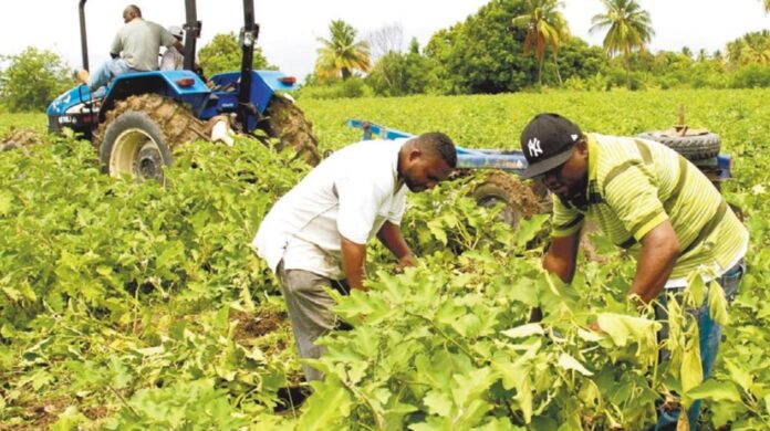 Gobierno promete mejorías y cambios al sector agropecuario