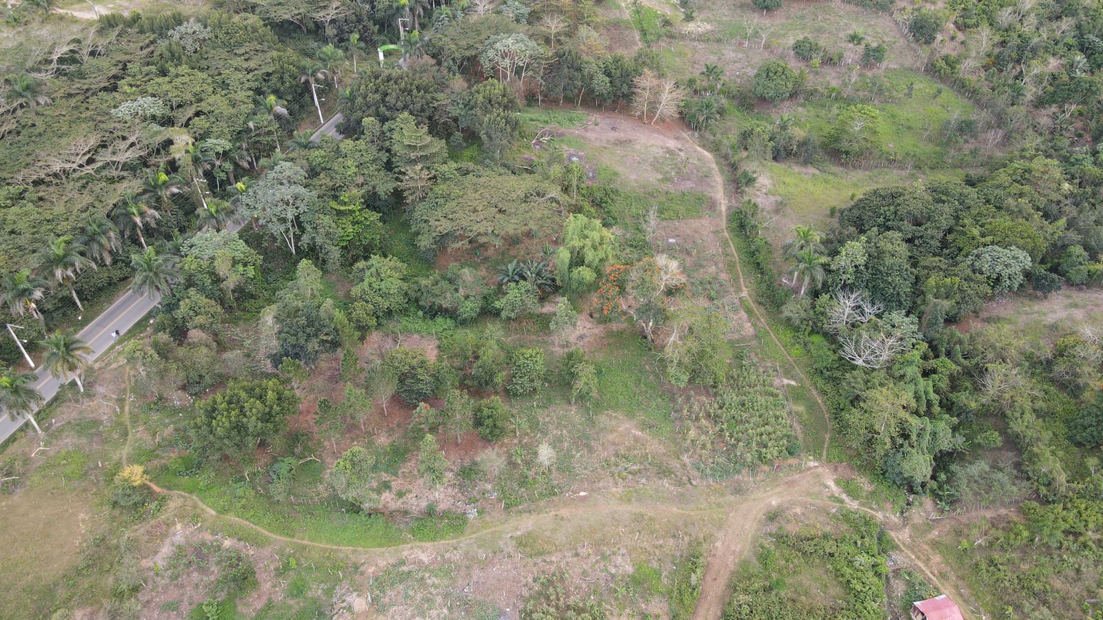 1641420612 770 Desaprensivos destruyen zona verde en Sabana Grande de Boya