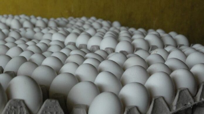 Asohuevos asegura se exporta huevos a Haití, el Gobierno dice que no