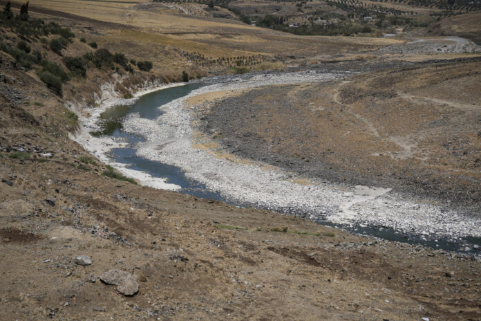 La sequía sin precedentes del río Orontes pone en peligro a los agricultores sirios