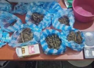 Policía incauta armas y más de 250 porciones de drogas en Monte Plata