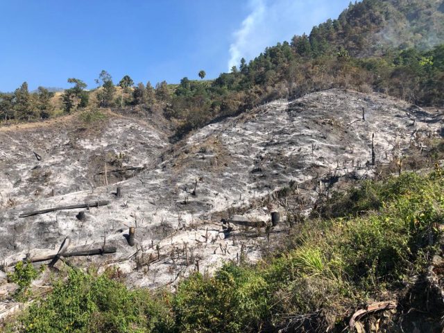 Incendio forestal afectó cientos de hectáreas en San José de Ocoa