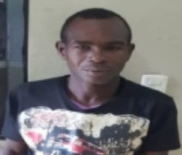 Policía apresa en comunidad de Barahona hombre que mató a machetazos a 19 animales domésticos