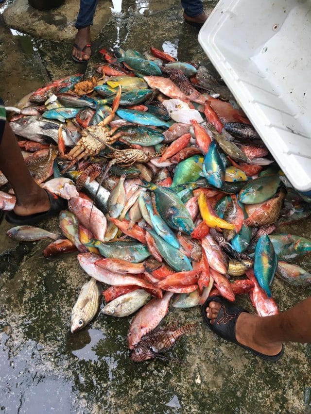 Pescadores llaman a Orlando Jorge Mera aplicar la ley a todos por igual