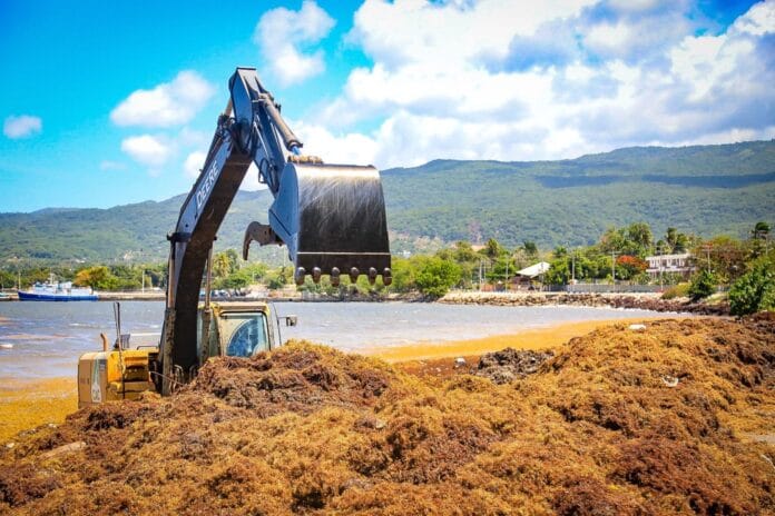 Retiran cientos toneladas de sargazos en playas de Barahona