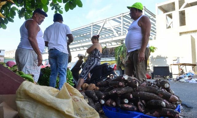 Veganos siguen a la espera de obras para provincia