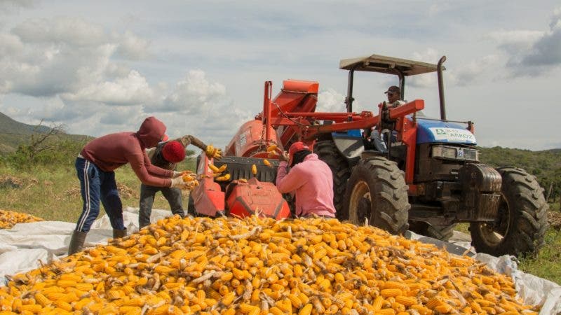 Cesar Fernandez Gobierno muestra falta de gerencia en agropecuaria
