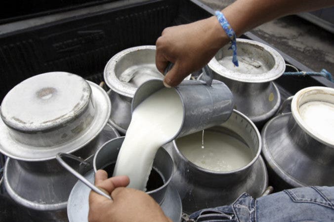 Sector lácteo se encamina hacia una producción sostenible