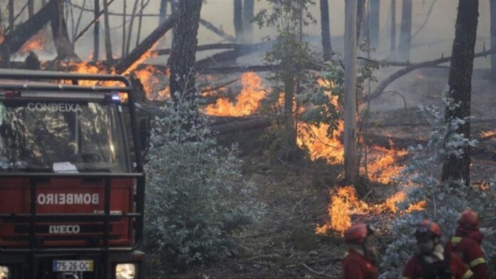 Fuego calcina 25 % de mayor área protegida Portugal