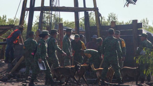 En las operaciones de rescate participan más de 300 soldados, buzos, perros de rescate y otros profesionales de apoyo a las familias de los mineros atrapados.