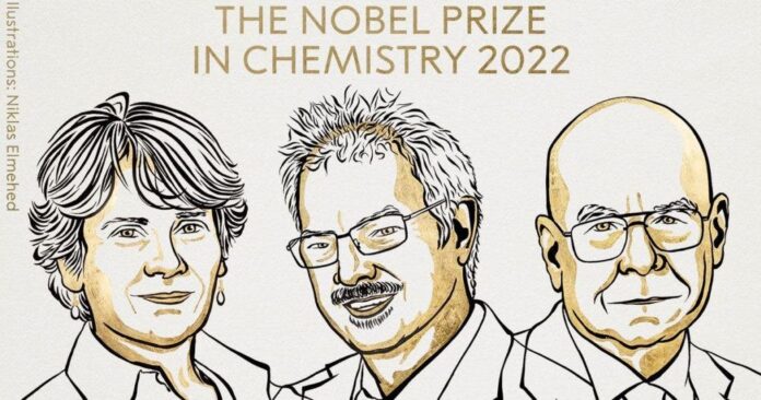 Carolyn R. Bertozzi, Morten Meldal y K. Barry Sharpless fueron reconocidos por su labor en química clic y reacciones bioortogonales, que sirven para producir medicamentos contra el cáncer, analizar ADN y crear materiales a medida para usos concretos. 